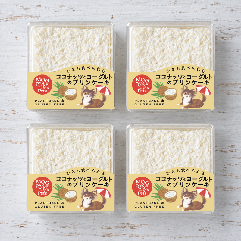ココナッツ４個セット